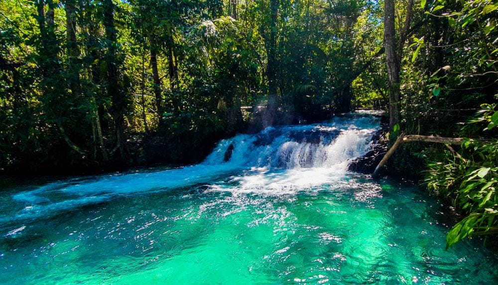 Jalapao brazil nature adventure water