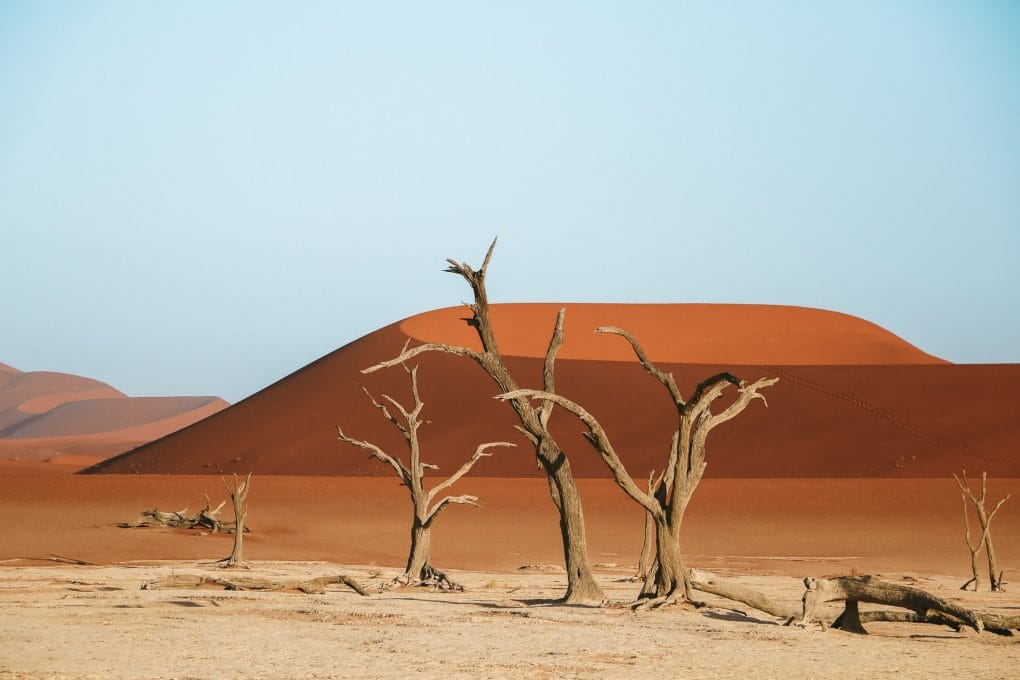 namibia photography of Deadsvlei