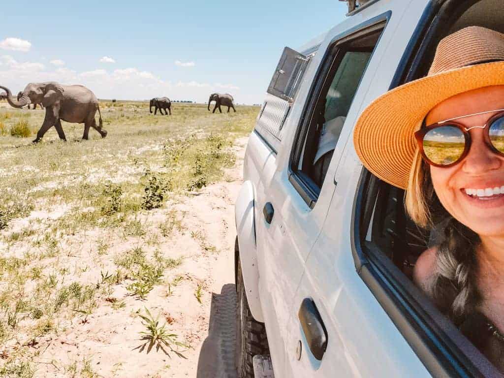 Botswana safari with elephants is the highlight of camping safari in Botswana