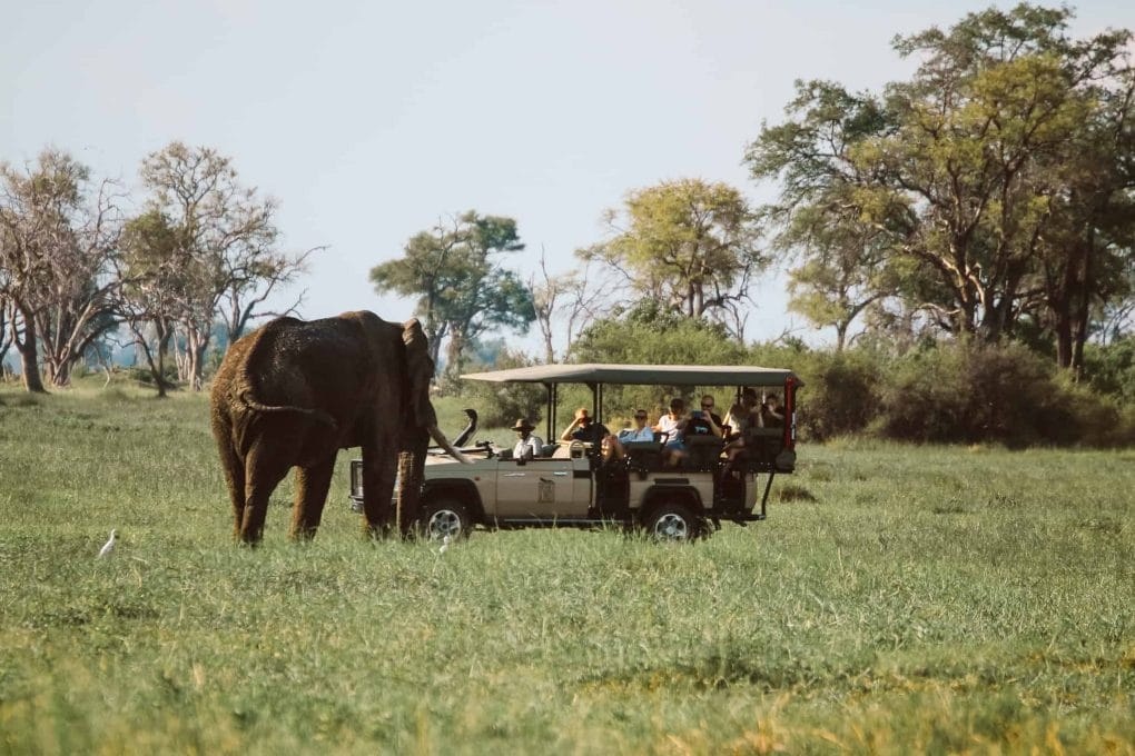 Botswana safari at Savuti