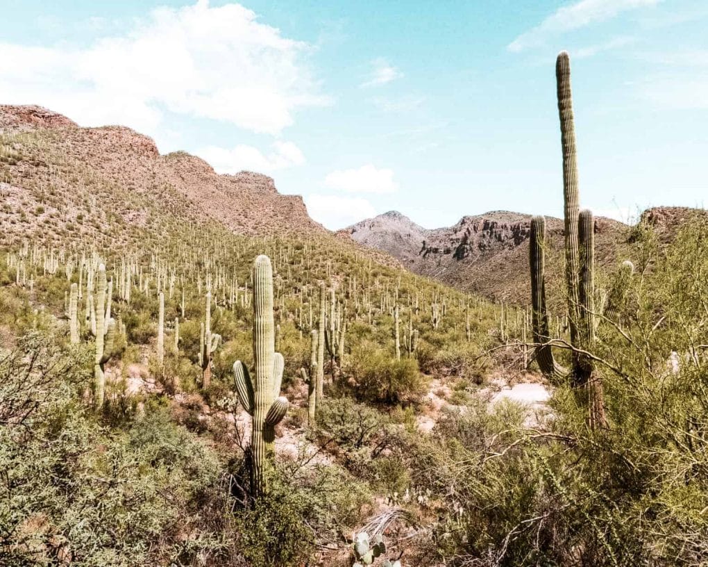 Seven Falls Best Hiking in Arizona