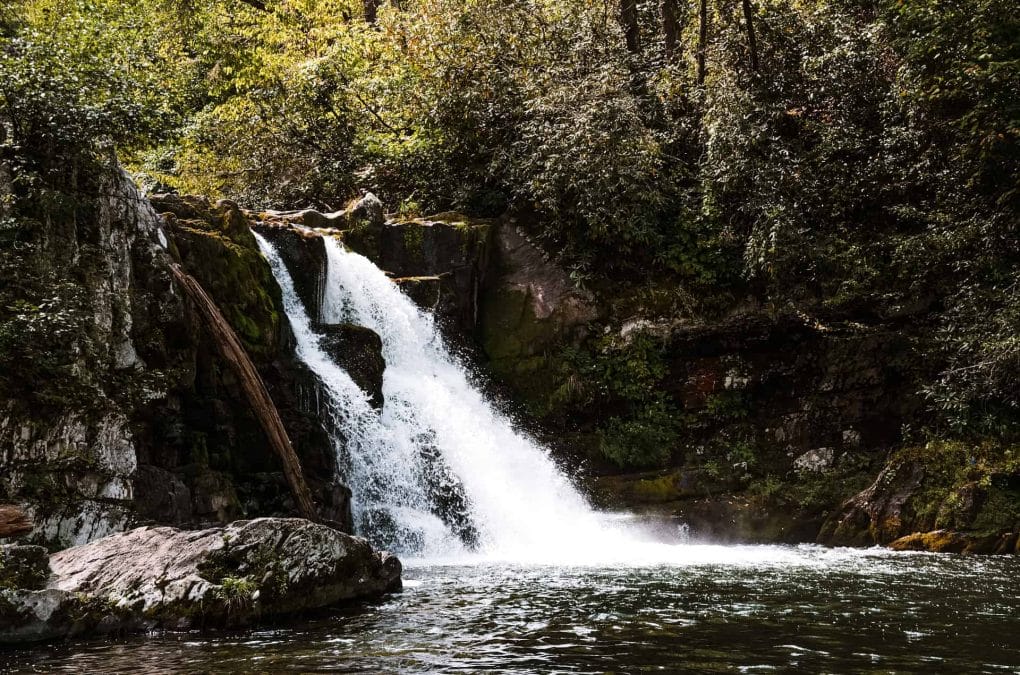 Laurel Falls is a great place to go hiking in the Smoky Mountains