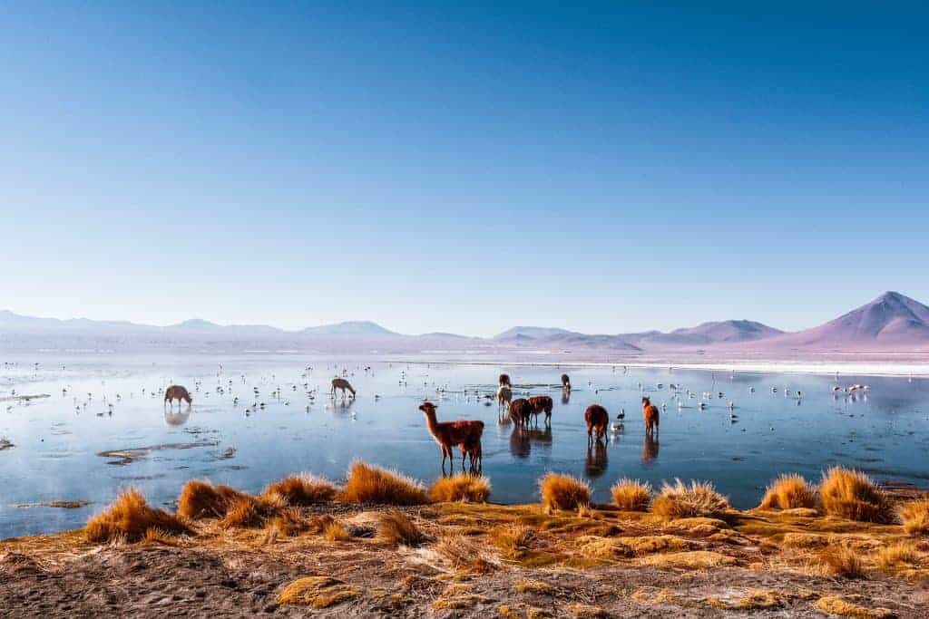 Backpacking in South America