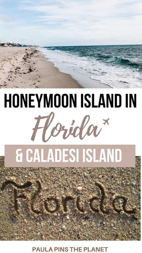 Honeymoon Island & Caladesi Island Florida