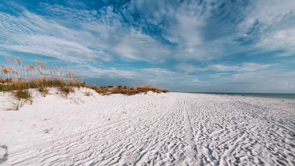 Things to do on Anna Maria Island 